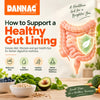 How to Support a Healthy Gut Lining: Diet, Lifestyle & Gut Health Tips