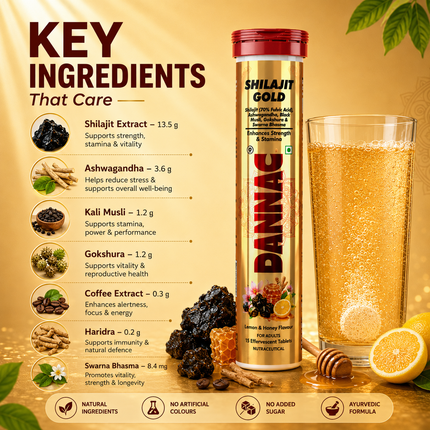 Shilajit Gold – Effervescent Vitality Formula