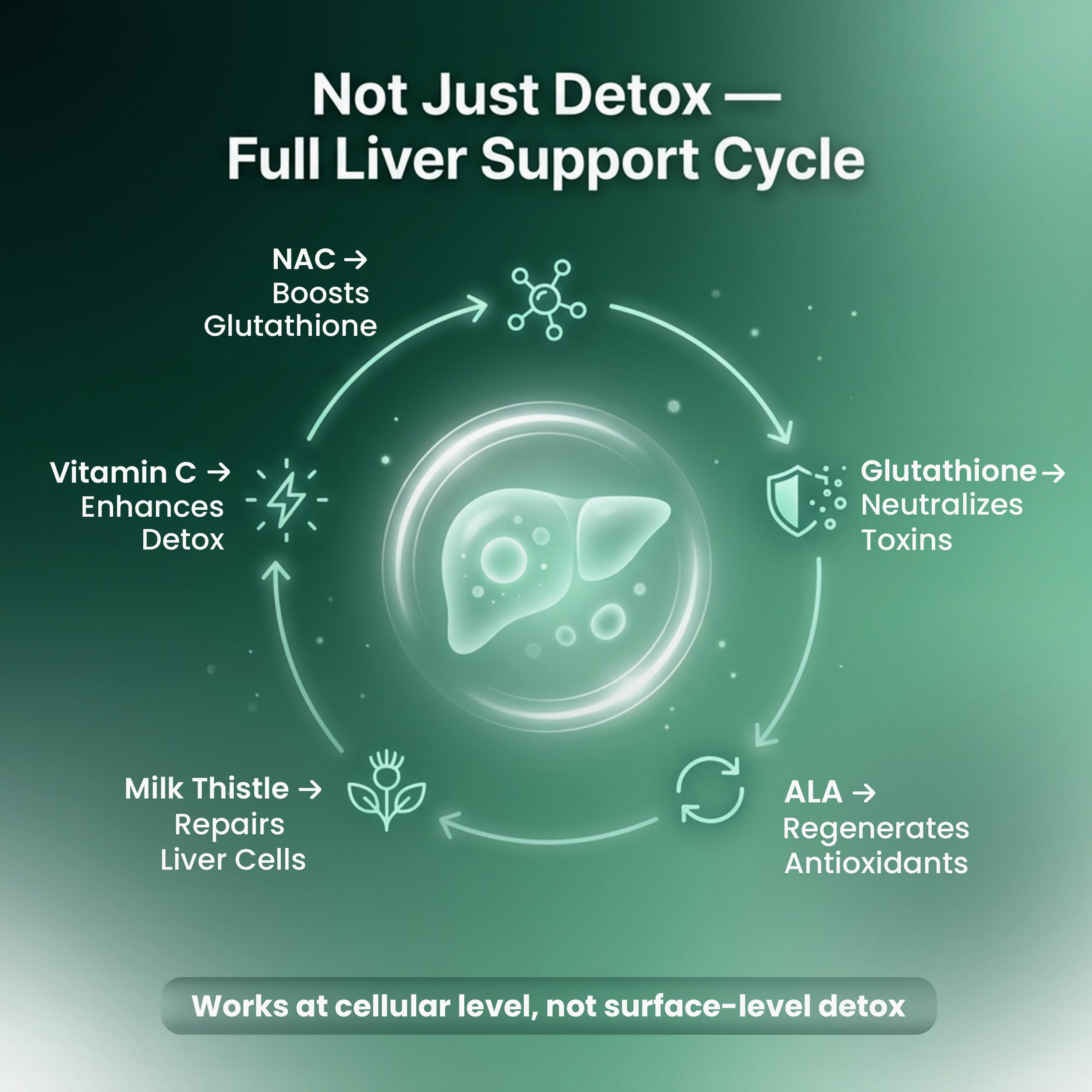 LiverXpert Dannac Healthcare LiverXpert Dannac Healthcare